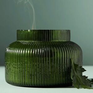 Anthropologie Capri Blue Fir and Firewood Candle